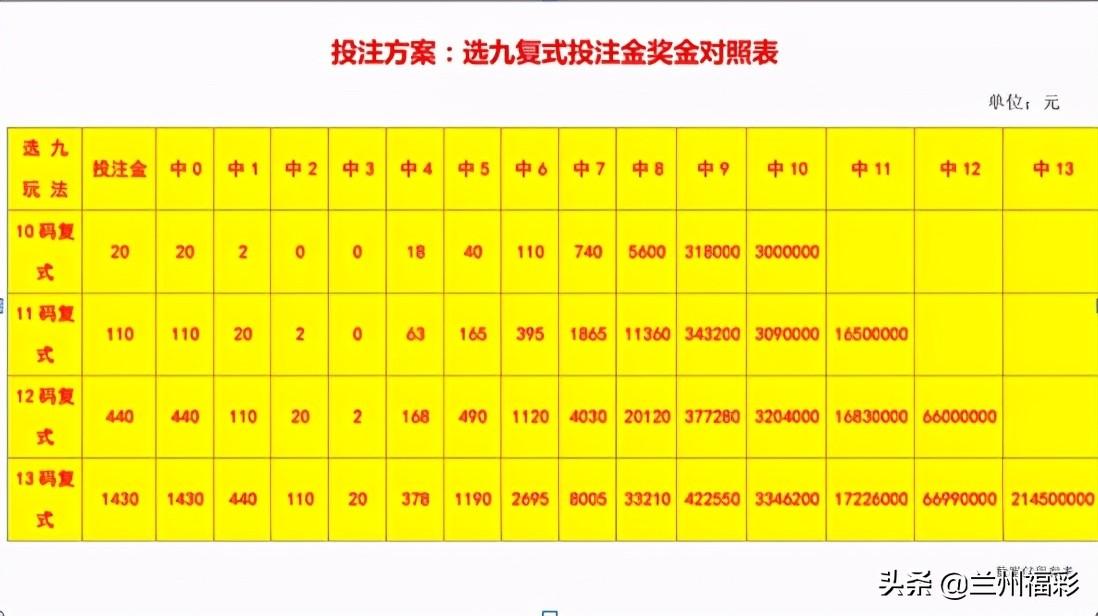 全国12选五，数字游戏中的智慧与策略