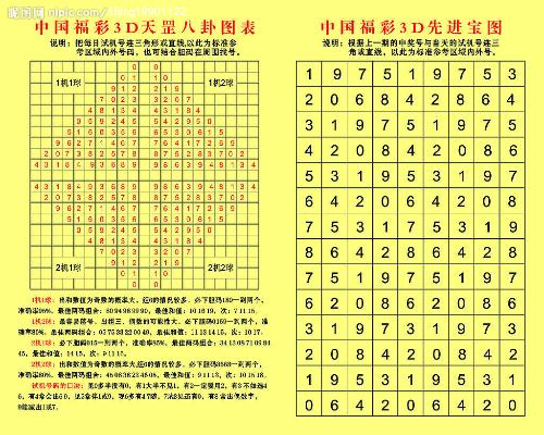 探索3D金码试机号，揭秘彩票背后的数字游戏