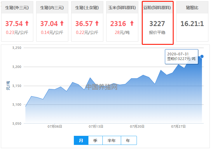 36选7与31选7，综合版走势图解析与策略探讨