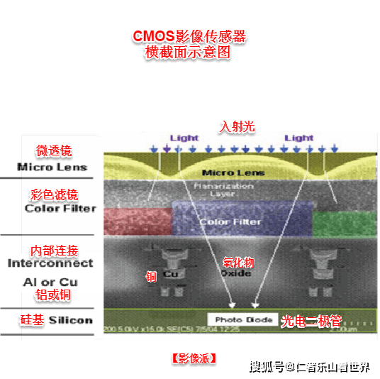 澳门正版资料大全免费app，揭开数字世界的神秘面纱