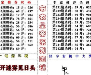 今日3D字谜总汇大全，解锁彩民的智慧宝库