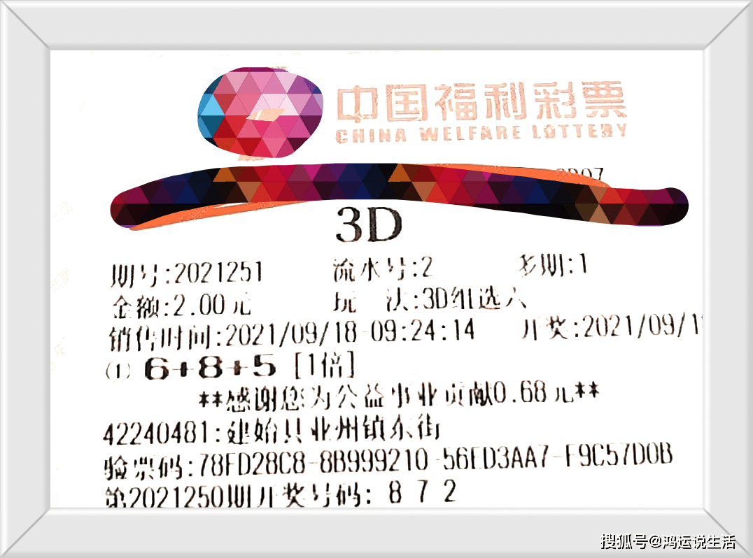 福彩3D字谜图谜总汇251期，解锁数字背后的智慧与乐趣