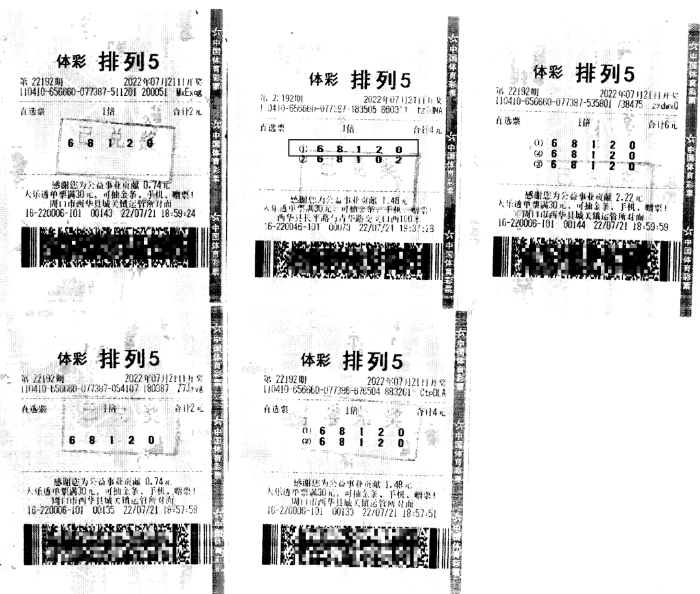 探索体彩排列五的奥秘，带连线走势图综合版解析