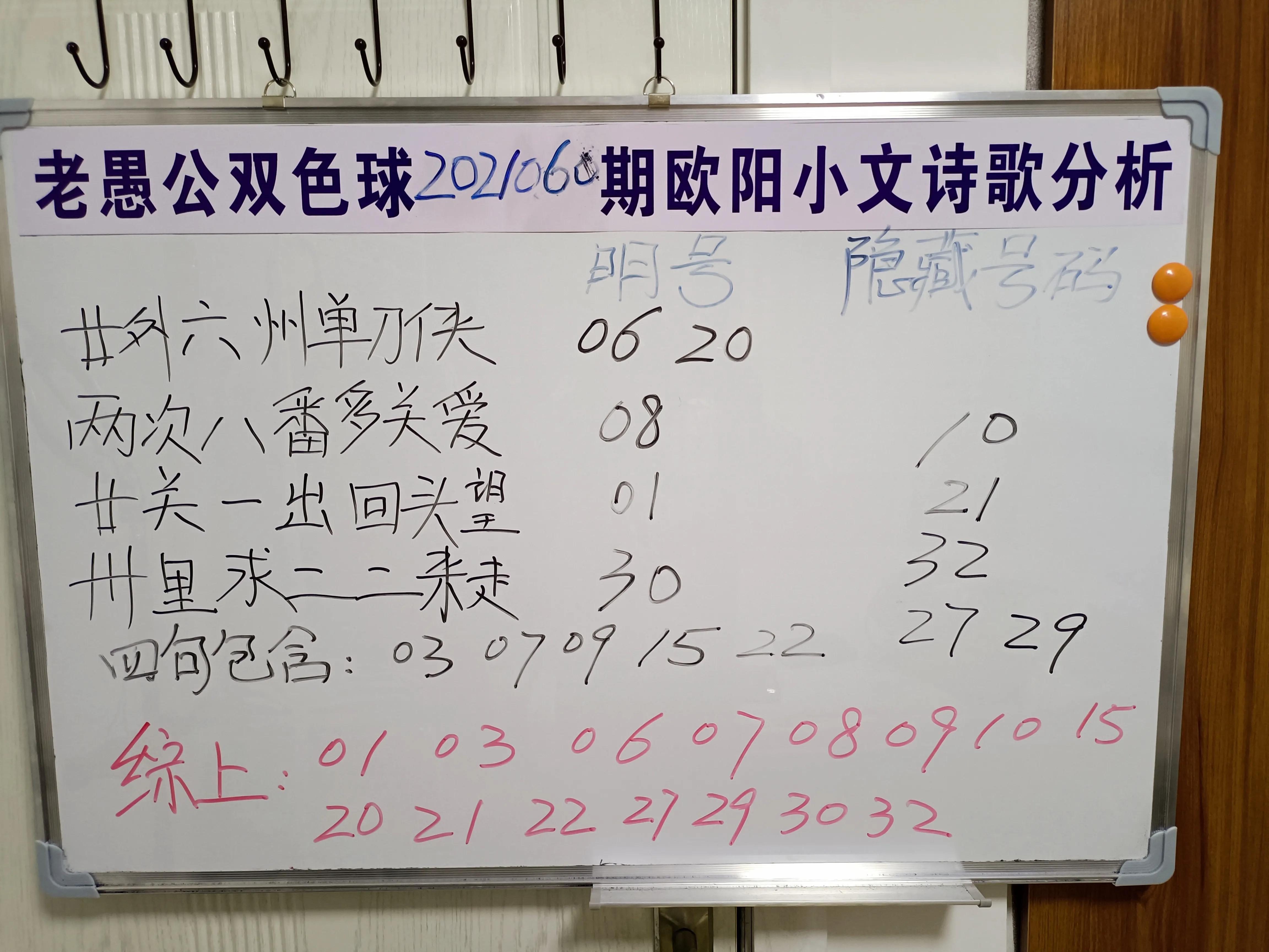 探秘双色球，阳光下的数字密码——揭秘最新正版字谜