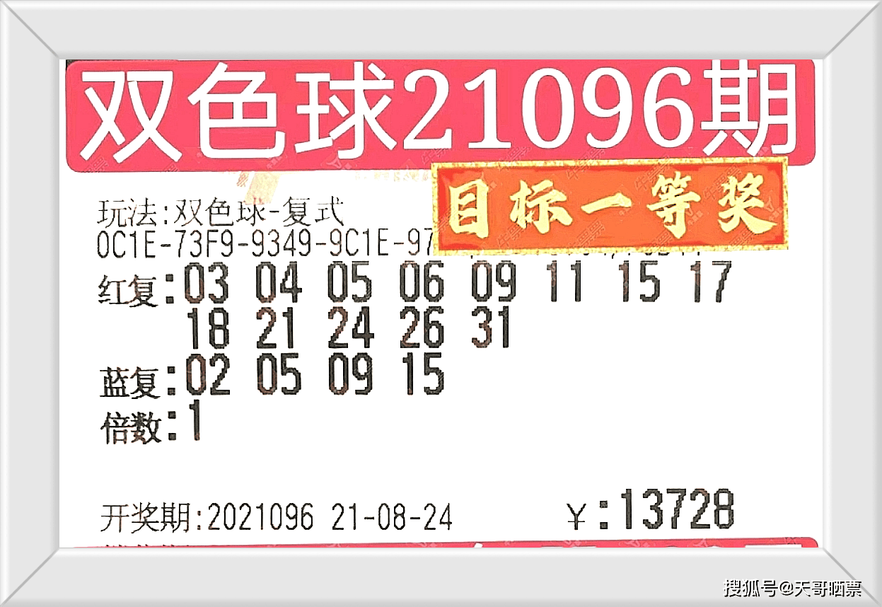 202086期开奖码开奖结果，揭秘数字背后的幸运与期待