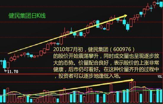 探索双彩网排5走势图，数字背后的奥秘与策略