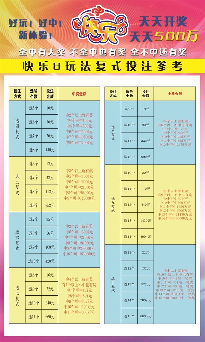 快乐8历史开奖号码查询器的奇妙之旅，解锁数字背后的乐趣与智慧