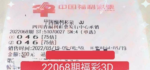 福利彩票2023046期开奖结果揭晓，梦想与希望的新篇章