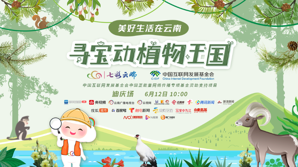 美好生活，生肖中的幸福哲学美好生活指哪个生肖