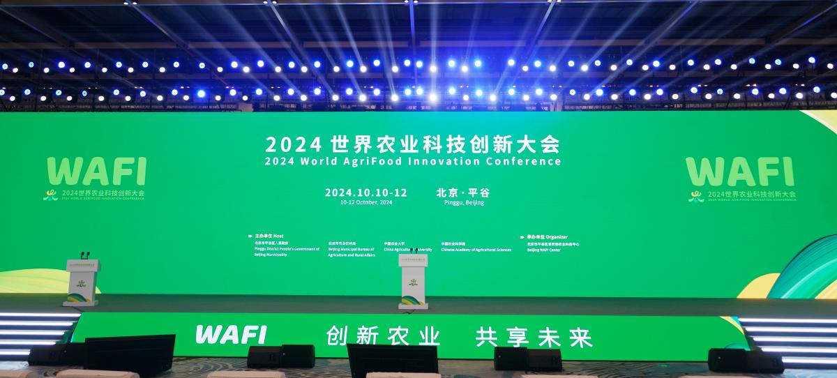 2043年新奥开奖，未来彩市的一次科技与幸运的碰撞2024年新奥开奖结果如何79456