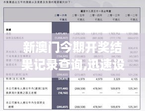 探寻新澳历史的奥秘，揭秘开奖记录查询的背后故事新澳历史开奖记录查询结果出号走势图