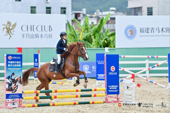 2019年香港马全年资料