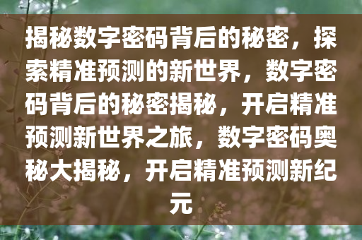 探索2码出特的奥秘，解码数字世界的独特魅力