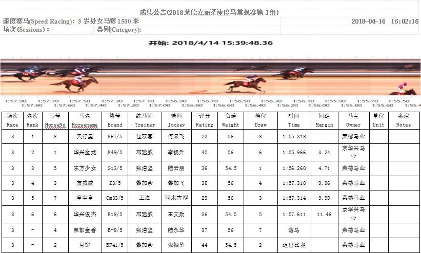 探索正版马会精选资料大全，解锁赛马的智慧与乐趣正版马会精选资料大全下载2070