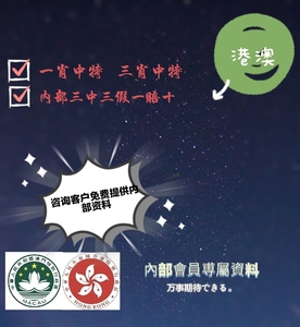 探索香港王中王的秘密，揭秘高手论坛的独特魅力香港王中王高手免费论坛