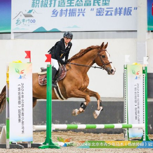 澳门今期特马四不像，独特魅力与文化交融的奇妙体验今晚澳门马四不像一肖图