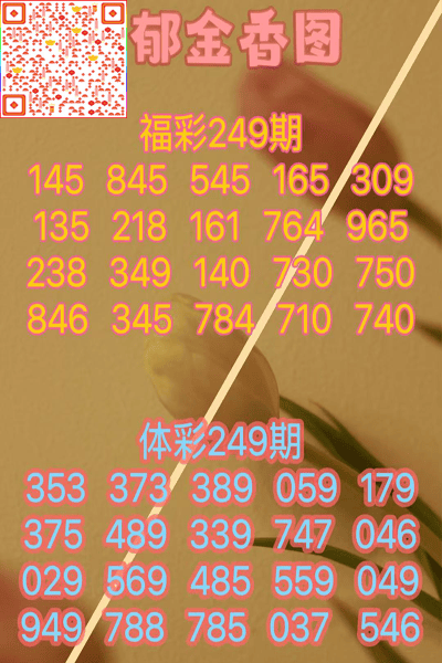 今日3D藏机图汇总，正版新版的魅力与价值今曰3d藏机图汇总