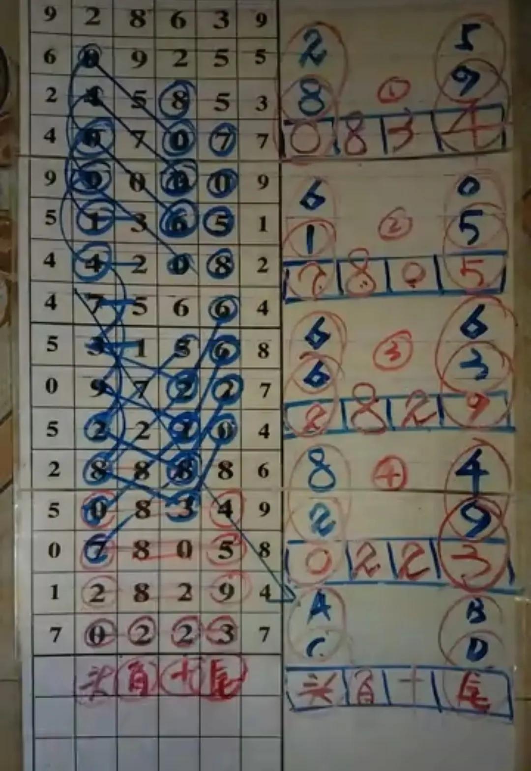 揭秘南海网七星彩规律，科学理性分析下的数字游戏南海七星彩投注网