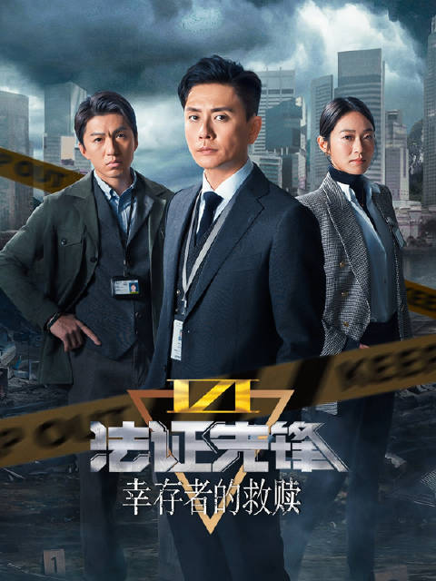 揭秘天机谜第12集，迷雾中的真相与抉择天机谜第一集在线观看