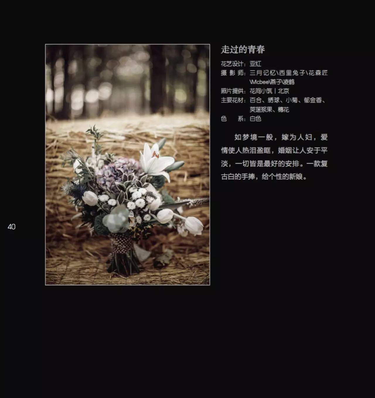 探秘图谜花,一场视觉与智慧的盛宴图谜的图片