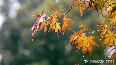 晚秋字谜，雨水前夕的神秘篇章雨水前夕打一数字