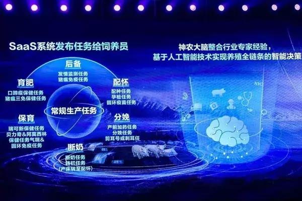 3D专家之家，探索未来科技，共筑创意梦想3d专家最新最准专家