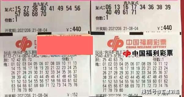 彩民乐树图，今天3B的智慧之选彩民乐钱图 今天