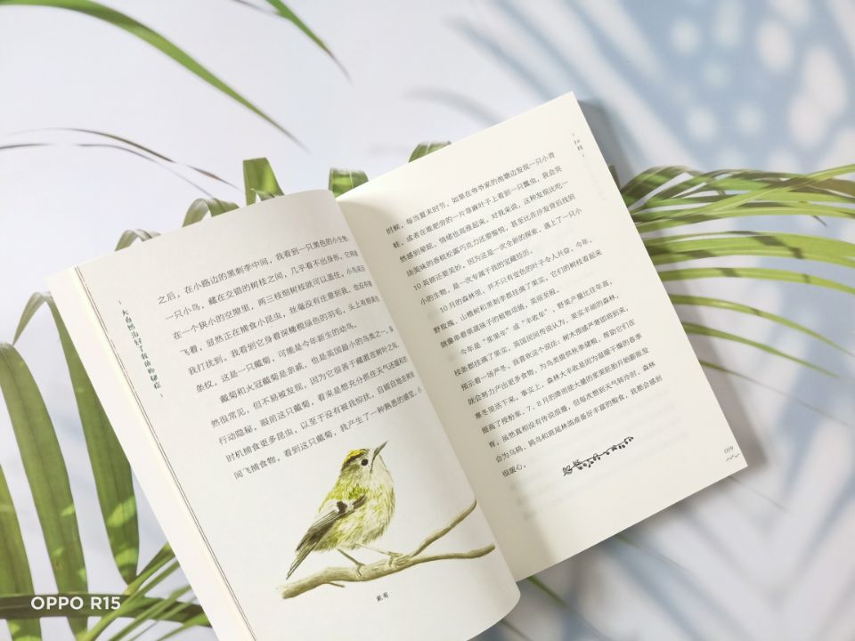 2025年5月6日
