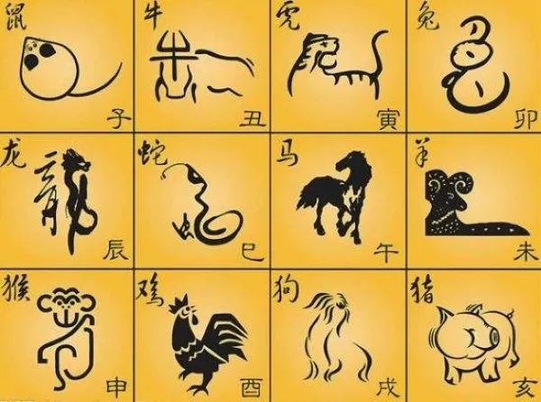 今晚只开一肖,揭秘生肖预测的奥秘与现实今晚开一只生肖是什么生肖