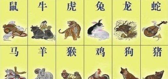 十二生肖谜语答案大揭秘，智慧与趣味的完美碰撞十二生肖谜语答案乌鸦