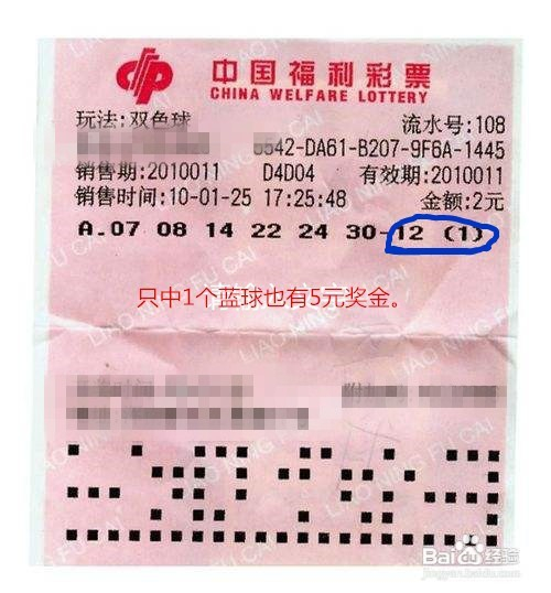 探索双色球开奖记录比对器的奥秘，揭秘中彩新工具查双色球历史开奖号码比较器