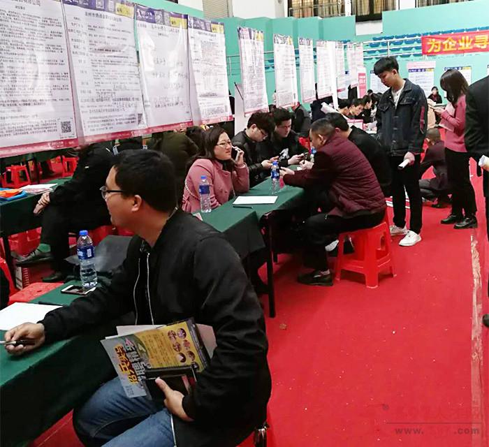 597人才网最新招聘信息，解锁职场新机遇的钥匙泉州597人才网最新招聘信息网