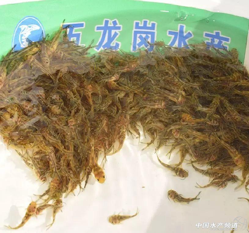人才市场招聘网，连接企业与人才的桥梁花都人才市场招聘网