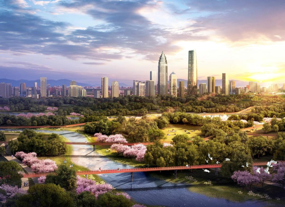深圳最靠谱的人才市场,汇聚英才,共创辉煌深圳国际机场招聘50人