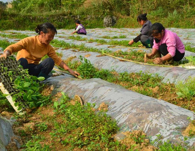 急招上午4小时钟点工，灵活就业新选择急招上午4小时钟点工附近