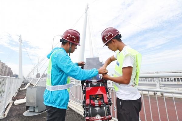 人才信息网,构建智慧型人力资源市场的桥梁人才信息网大学生就业补贴
