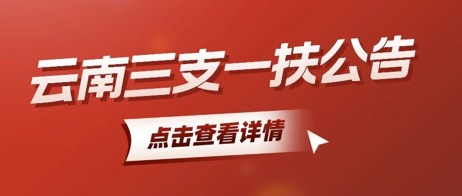 云南人才网招聘，开启你的职业新篇章云南人才网招聘网官网三支一扶公告