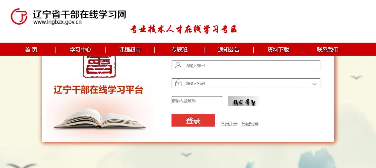 辽宁人事考试网，搭建人才选拔的坚实桥梁辽宁人试考试网 官网报名入口