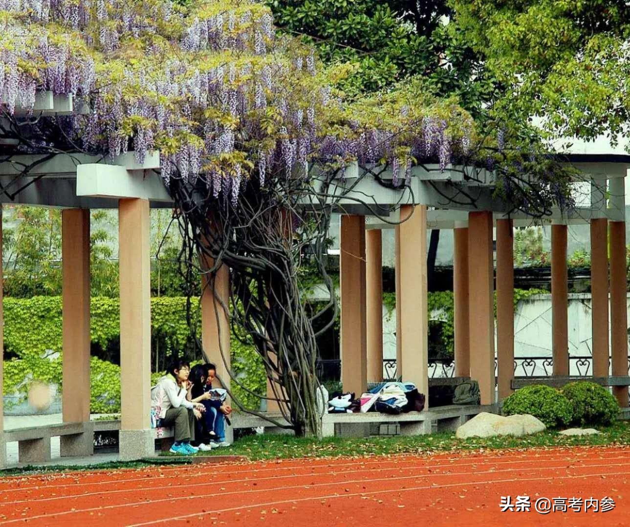 专科学什么专业好，就业前景的深度剖析文科男生专科学什么专业好就业前景好