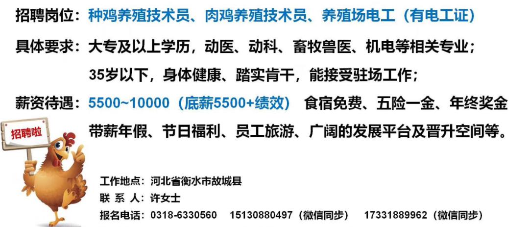 德州招聘网最新招聘信息，职场新机遇，共筑未来德州招聘网最新招聘信息查询