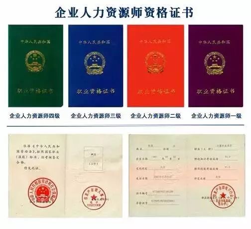 人力资源管理师报名，开启职业生涯新篇章的钥匙人力资源管理师报名网址