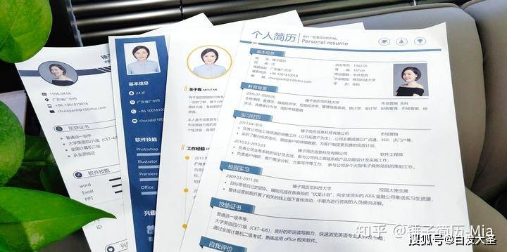 求职简历模板免费，打造高效、专业的个人品牌求职简历模板免费使用