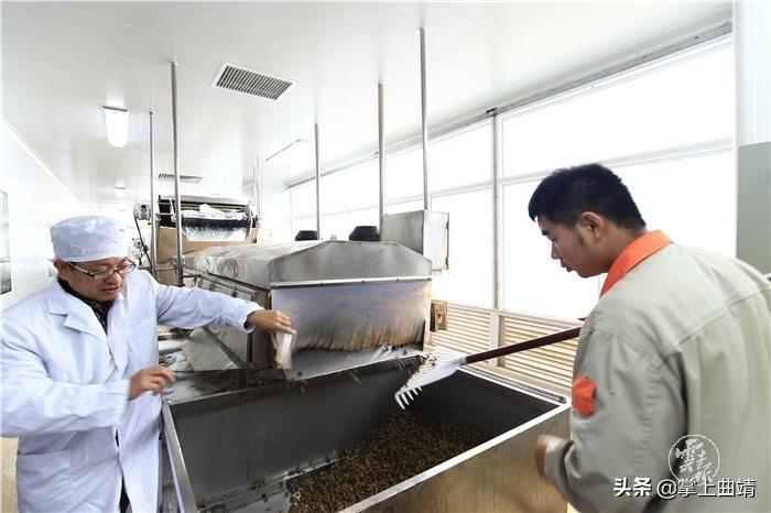 探索龙津药业，传统智慧与现代科技的完美融合龙津药业重组最新消息