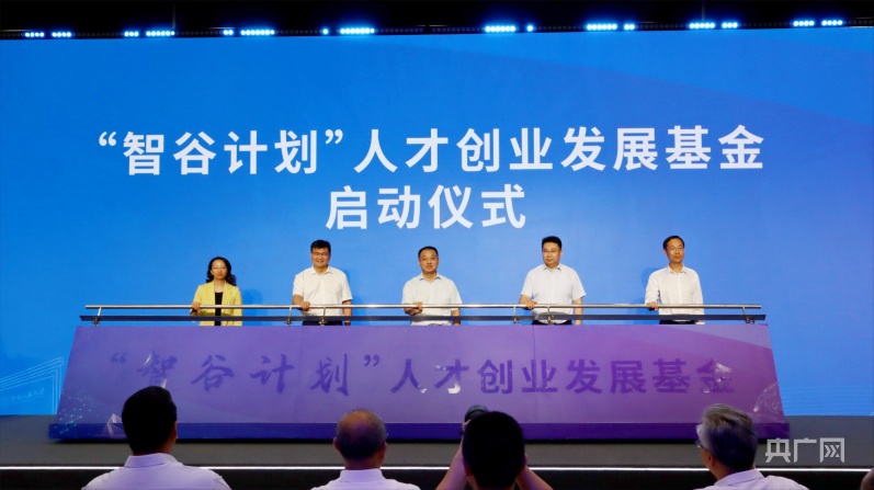 乐清人才网，打造区域性人力资源新生态的探索与实践乐清人才网电才网