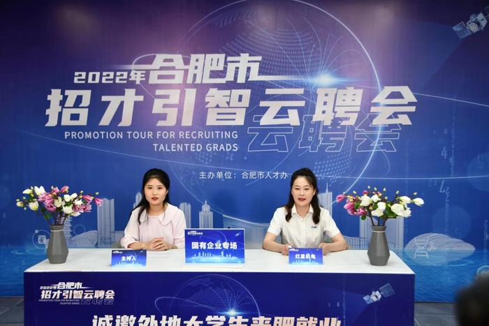 合肥人才网，汇聚智慧，共筑城市发展新篇章合肥人才网官网招聘信息
