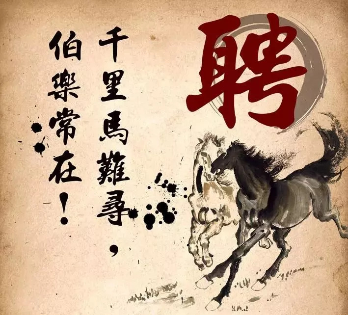 招聘的艺术，构建高效团队的关键—人员招贤纳士人员招聘网站有哪些
