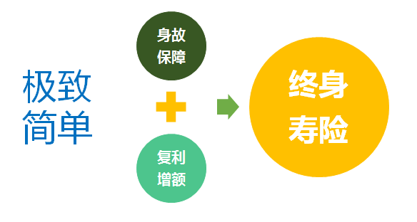 探索中国保险业的坚实基石,中国人寿保险公司官网深度解析中国人寿保险公司官网保单查询