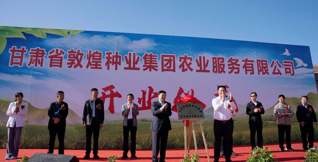 敦煌种业，千年传承，育出希望之田敦煌种业重组