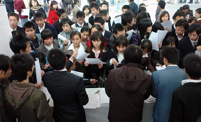 大学生求职招聘网站，开启职场新篇章的数字桥梁大学生求职招聘网站应届生