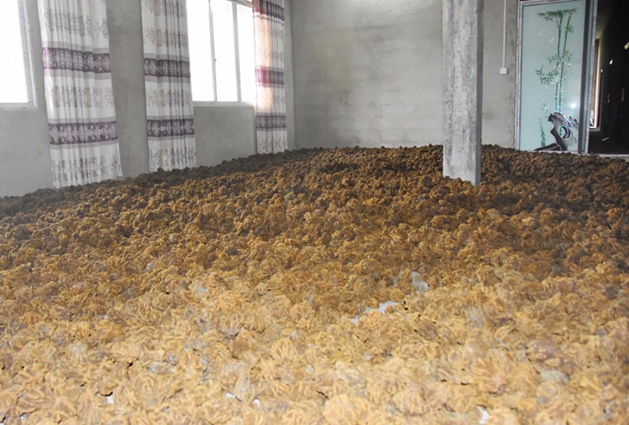 温州企业高薪招工，提供包吃包住，月薪高达8000元温州招工包吃住8000元是真的吗